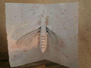 Hangart-CamilleGandioli2